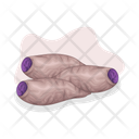 پیش‌نمایش فایل taro-10526255 از پک تارو