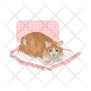 پیش‌نمایش فایل cat-11166978 از پک گربه
