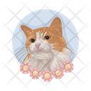 پیش‌نمایش فایل cat-11166980 از پک گربه