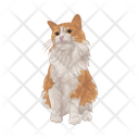 پیش‌نمایش فایل cat-11166981 از پک گربه