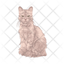 پیش‌نمایش فایل cat-11166982 از پک گربه