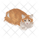 پیش‌نمایش فایل cat-11166983 از پک گربه