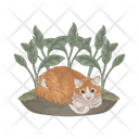 پیش‌نمایش فایل cat-11166993 از پک گربه