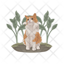 پیش‌نمایش فایل cat-11166996 از پک گربه