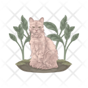 پیش‌نمایش فایل cat-11166997 از پک گربه