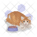 پیش‌نمایش فایل cat-11167000 از پک گربه