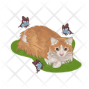 پیش‌نمایش فایل cat-11167008 از پک گربه