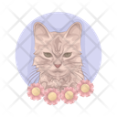 پیش‌نمایش فایل cat-11167010 از پک گربه