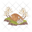 پیش‌نمایش فایل cat-11167011 از پک گربه