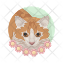 پیش‌نمایش فایل cat-11167015 از پک گربه