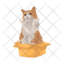 پیش‌نمایش فایل cat-in-box-11166986 از پک گربه