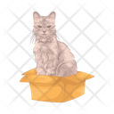 پیش‌نمایش فایل cat-in-box-11166987 از پک گربه
