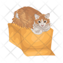 پیش‌نمایش فایل cat-in-box-11166988 از پک گربه