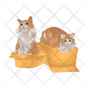 پیش‌نمایش فایل cat-in-box-11166990 از پک گربه