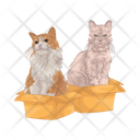 پیش‌نمایش فایل cat-in-box-11166995 از پک گربه