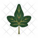 پیش‌نمایش فایل ivy-leaf-12867152 از پک کشاورزی