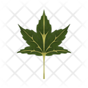پیش‌نمایش فایل maple-leaf-12867180 از پک کشاورزی