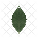 پیش‌نمایش فایل mint-leaf-12867181 از پک کشاورزی