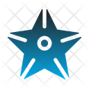 پیش‌نمایش فایل starfish-4619111 از پک تعطیلات