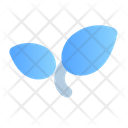 پیش‌نمایش فایل leaf-4242479 از پک رابط پایه