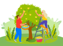پیش‌نمایش فایل couple-is-plucking-fruits-from-tree-10988682 از پک فعالیت افراد