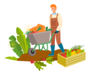پیش‌نمایش فایل man-is-collecting-fruits-and-vegetables-in-trolley-10988650 از پک فعالیت افراد