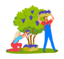 پیش‌نمایش فایل man-is-holding-fruit-basket-on-his-head-10988655 از پک فعالیت افراد