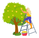 پیش‌نمایش فایل woman-is-plucking-fruit-from-tree-10988652 از پک فعالیت افراد