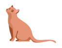 پیش‌نمایش فایل cat-sit-and-waiting-for-owner-13231353 از پک صاحبان حیوانات خانگی