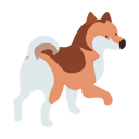 پیش‌نمایش فایل dog-standing-alone-13231336 از پک صاحبان حیوانات خانگی