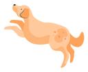 پیش‌نمایش فایل jumping-dog-13231350 از پک صاحبان حیوانات خانگی