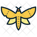 پیش‌نمایش فایل moth-8578111 از پک جادوگری
