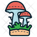 پیش‌نمایش فایل mushroom-8578112 از پک جادوگری