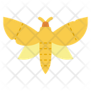 پیش‌نمایش فایل moth-8578199 از پک جادوگری
