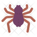 پیش‌نمایش فایل spider-8578208 از پک جادوگری