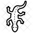 پیش‌نمایش فایل lizard-8578017 از پک جادوگری