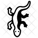 پیش‌نمایش فایل lizard-8578245 از پک جادوگری