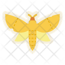 پیش‌نمایش فایل moth-8578292 از پک جادوگری