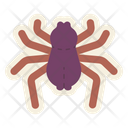 پیش‌نمایش فایل spider-8578301 از پک جادوگری