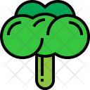 پیش‌نمایش فایل broccoli-4 از پک غذا