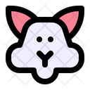 پیش‌نمایش فایل rabbit-2481819 از پک حیوانات