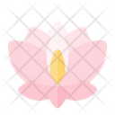 پیش‌نمایش فایل flower-2520425 از پک تابستان