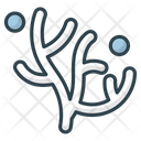 پیش‌نمایش فایل coral-reef-9039716 از پک تابستان
