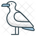 پیش‌نمایش فایل seagulls-9039740 از پک تابستان