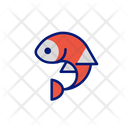 پیش‌نمایش فایل fish-6913305 از پک فروشگاه حیوانات خانگی آنلاین