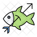 پیش‌نمایش فایل fishing-6482468 از پک سرگرمی‌های ماجراجویانه