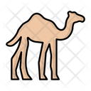 پیش‌نمایش فایل camel-7893097 از پک رمضان