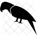 پیش‌نمایش فایل bird-2465740 از پک حیوانات