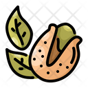 پیش‌نمایش فایل pistachio-9695933 از پک اکتبرفست