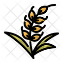 پیش‌نمایش فایل wheat-9695942 از پک اکتبرفست